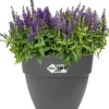 Elho bloempot Vibia Campana antraciet D 24,5 H 21 cm