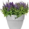 Elho bloempot Vibia Campana grijs D 29,8 H 25,8 cm