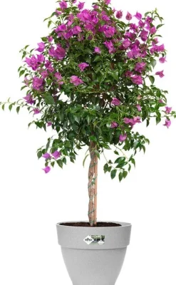 Elho bloempot Vibia Campana grijs D 39 H 33,4 cm