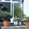 Elho bloempot Vibia Campana terracotta D 29,8 H 25,8 cm