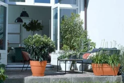 Elho bloempot Vibia Campana terracotta D 29,8 H 25,8 cm