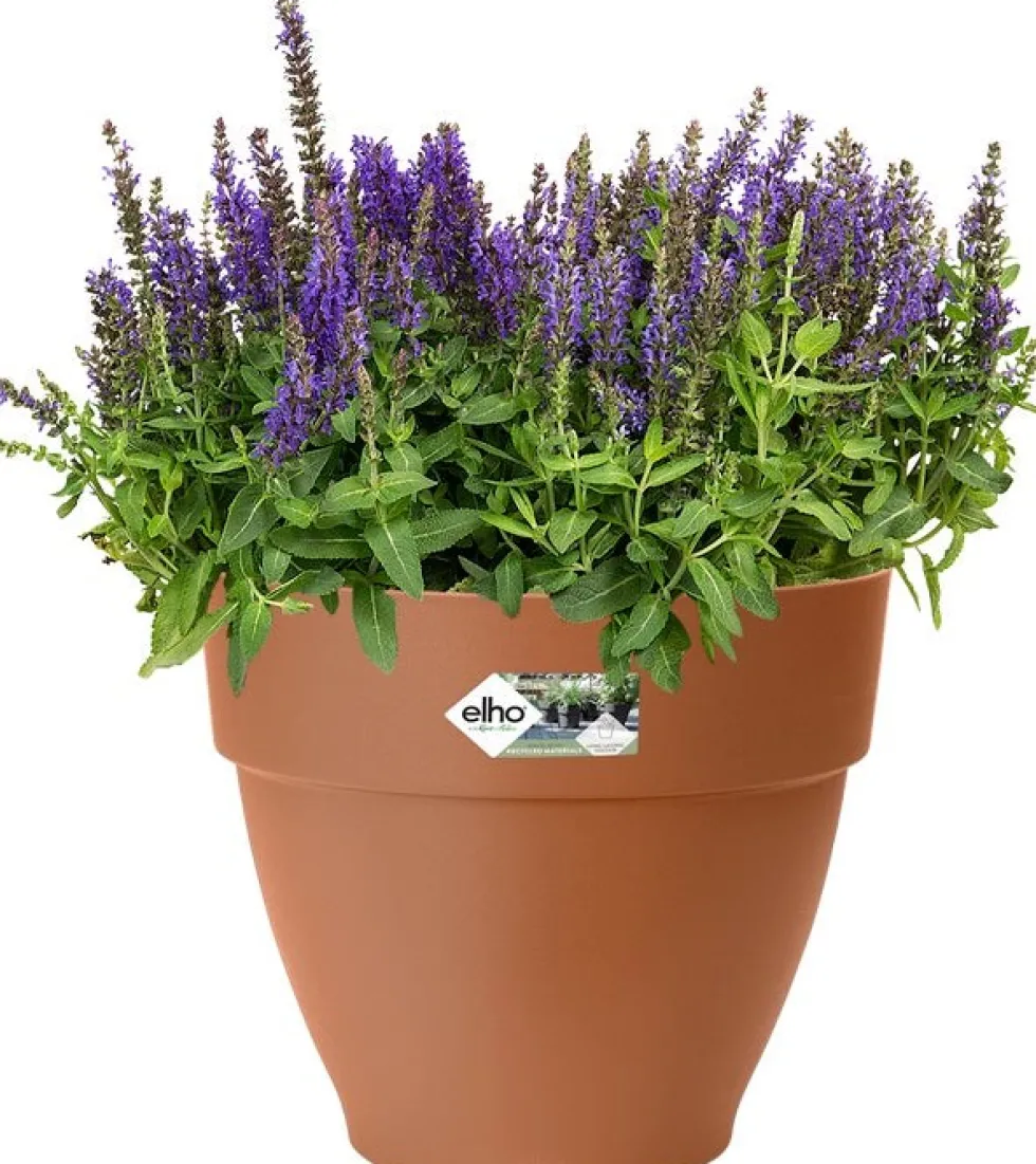Elho bloempot Vibia Campana terracotta D 34,5 H 29,7 cm