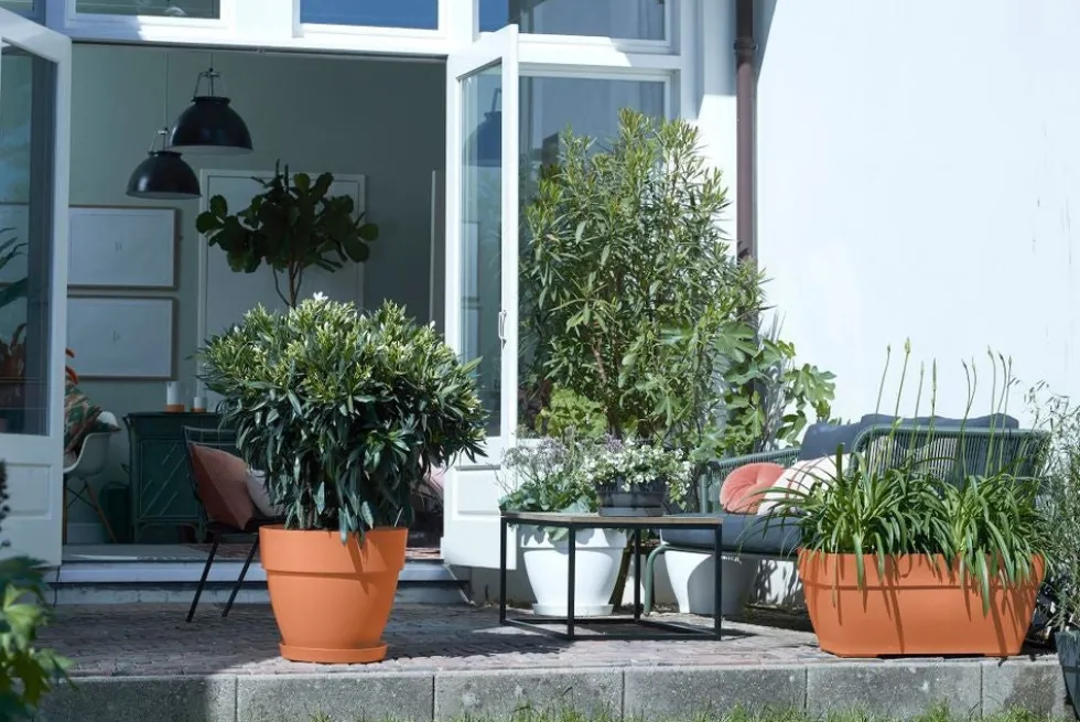 Elho bloempot Vibia Campana terracotta D 34,5 H 29,7 cm