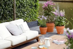 Elho bloempot Vibia Campana terracotta D 34,5 H 29,7 cm