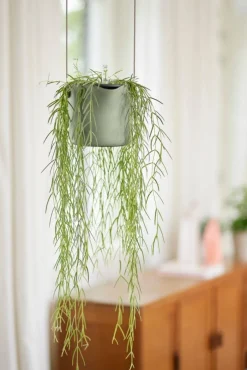 Elho hangpot B. for swing lichtgroen 20,5 x 20 x 16,5 cm