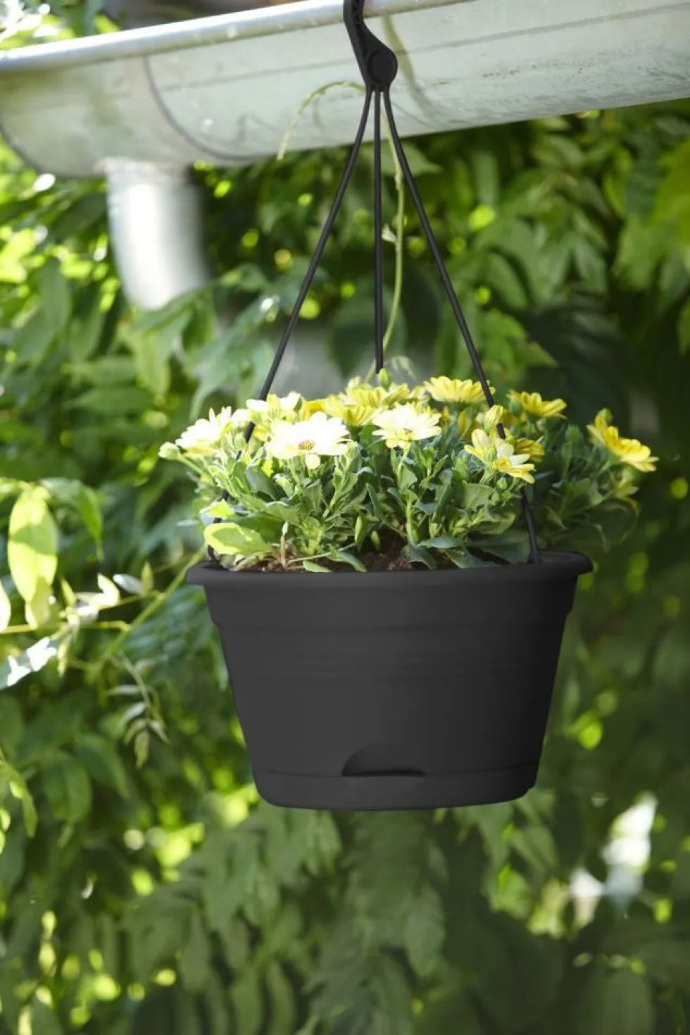 Elho hangpot Green Basics zwart D 29 H 16,5 cm