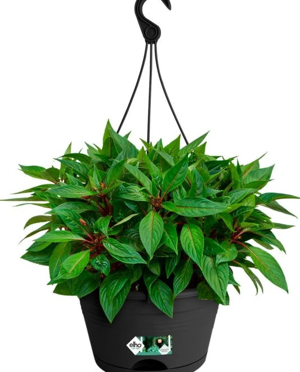 Elho hangpot Green Basics zwart D 29 H 16,5 cm