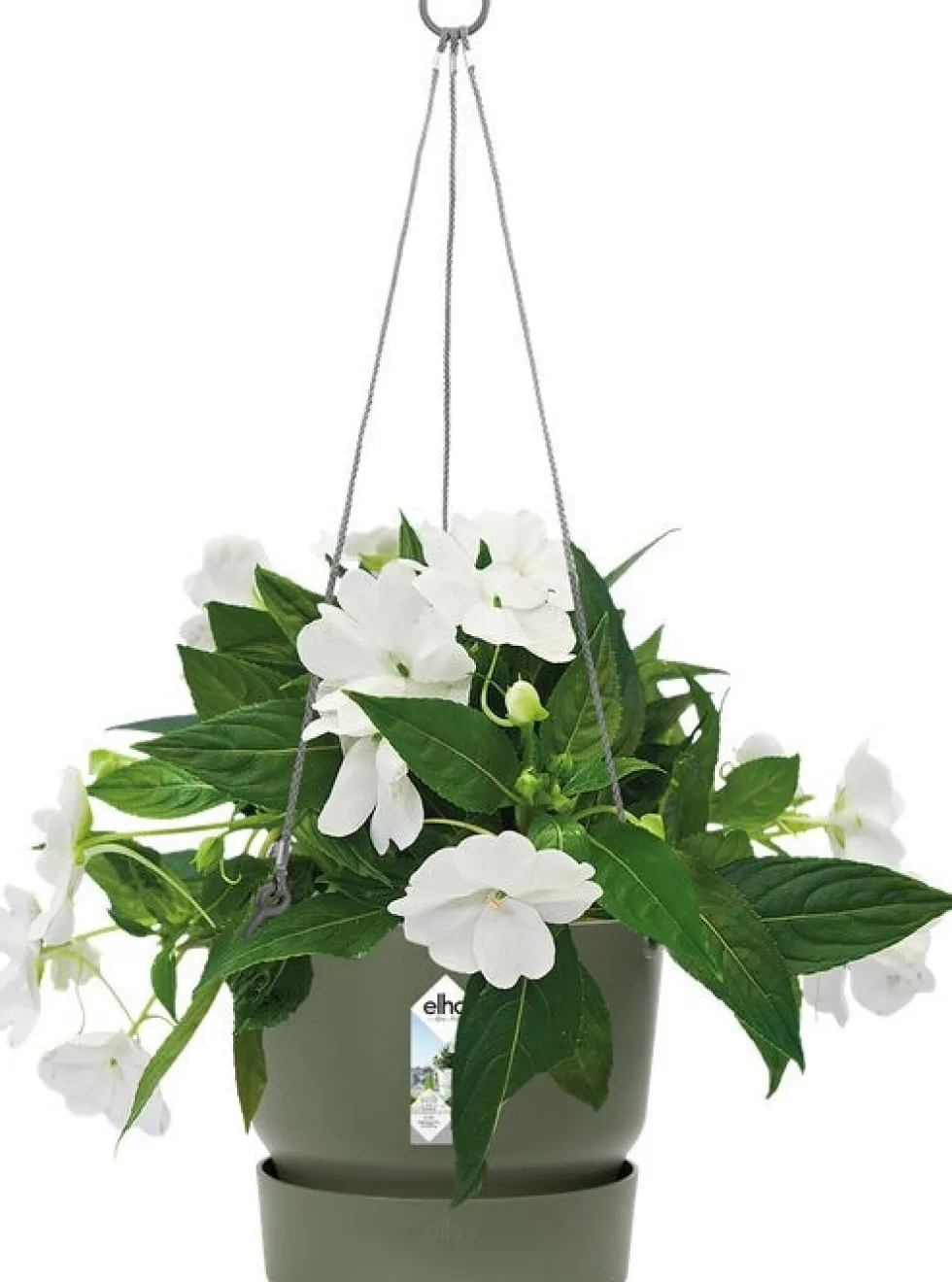 Elho hangpot met waterreservoir Greenville groen D 23,5 H 20,5 cm