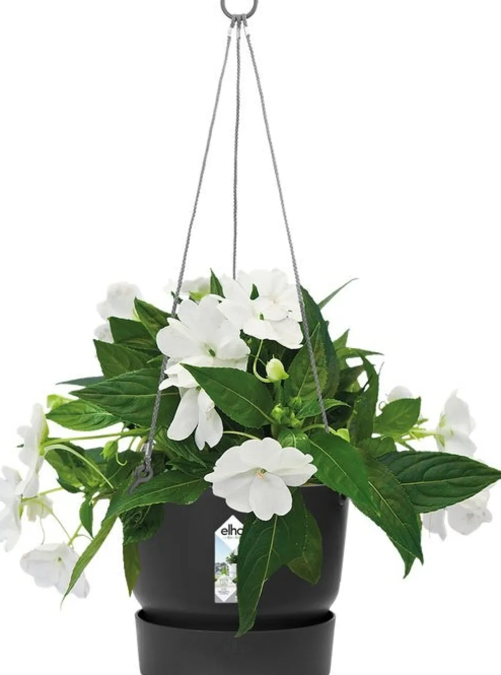 Elho hangpot met waterreservoir Greenville zwart D 23,5 H 20,5 cm