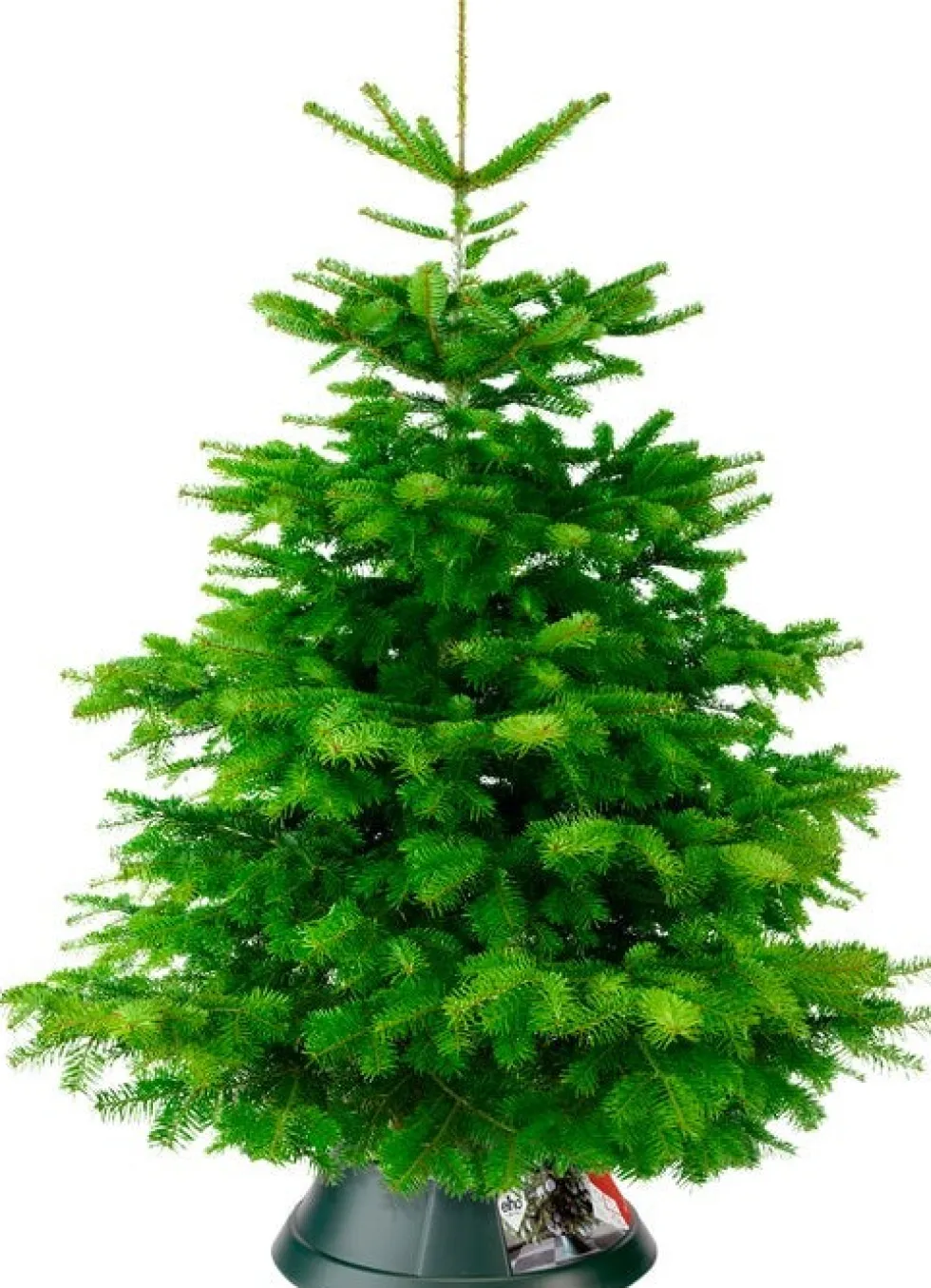 Elho kerstboomstandaard Nordmann D 39 cm groen