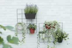 Elho muur bloempot Loft Urban wit 28 x 15 x 13,2 cm