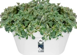 Elho muur bloempot Loft Urban wit 39,3 x 19,8 x 18,8 cm