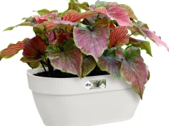 Elho muur plantenbak Vibia Campana wit 35 x 16,2 x 14,8 cm