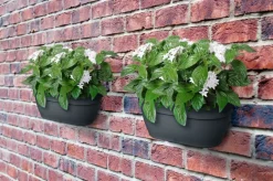 Elho muur plantenbak Vibia Campana antraciet 35 x 16,2 x 14,8 cm
