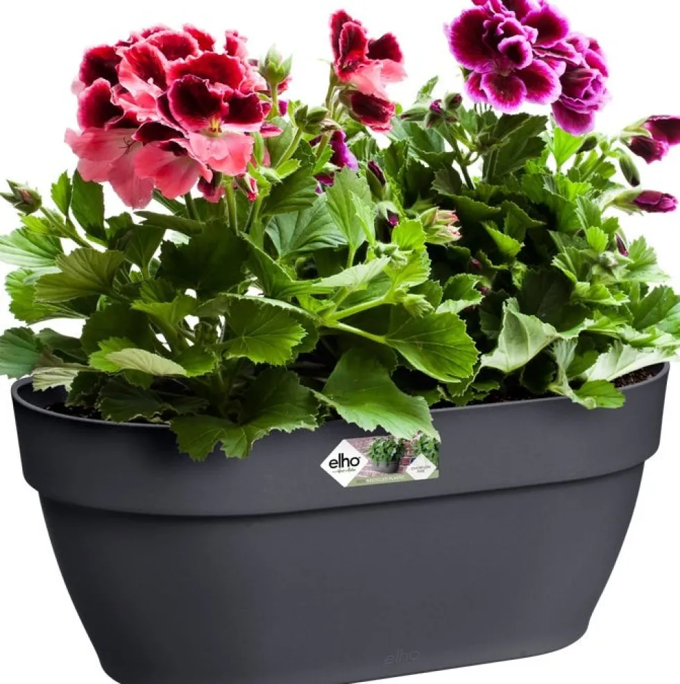 Elho muur plantenbak Vibia Campana antraciet 35 x 16,2 x 14,8 cm