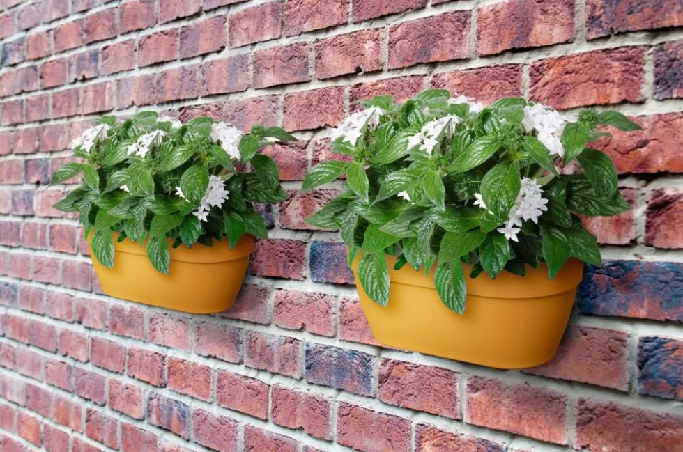 Elho muur plantenbak Vibia Campana geel 35 x 16,2 x 14,8 cm