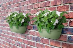 Elho muur plantenbak Vibia Campana groen 35 x 16,2 x 14,8 cm