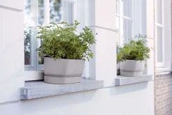Elho plantenbak met waterreservoir Greenville grijs 49 x 19,8 x 17,9 cm