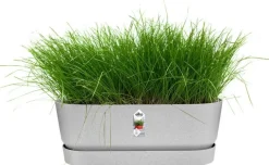 Elho plantenbak met waterreservoir Greenville grijs 49 x 19,8 x 17,9 cm