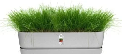 Elho plantenbak met waterreservoir Greenville grijs 69 x 19,5 x 18,5 cm