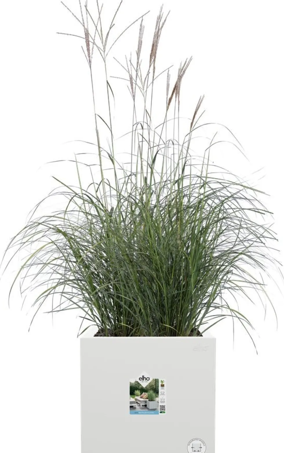 Elho plantenbak Vivo Next wit 39 x 40 x 37,9 cm