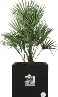 Elho plantenbak Vivo Next zwart 39 x 40 x 37,9 cm