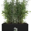 Elho plantenbak Vivo Next zwart 59 x 29,5 x 29,2 cm