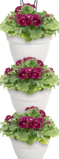 Elho plantenbak voor verticale tuin Vibia Campana Vertical Forest wit 20,7 x 17,1 x 29,7 cm