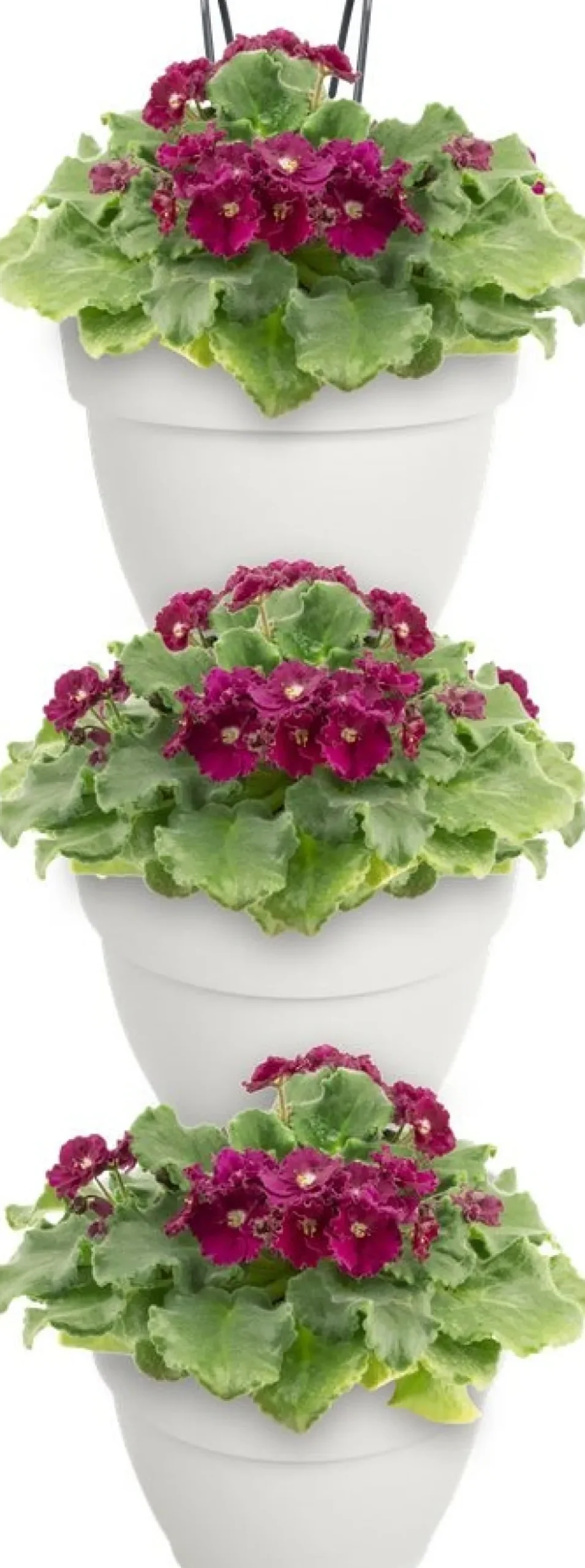 Elho plantenbak voor verticale tuin Vibia Campana Vertical Forest wit 20,7 x 17,1 x 29,7 cm