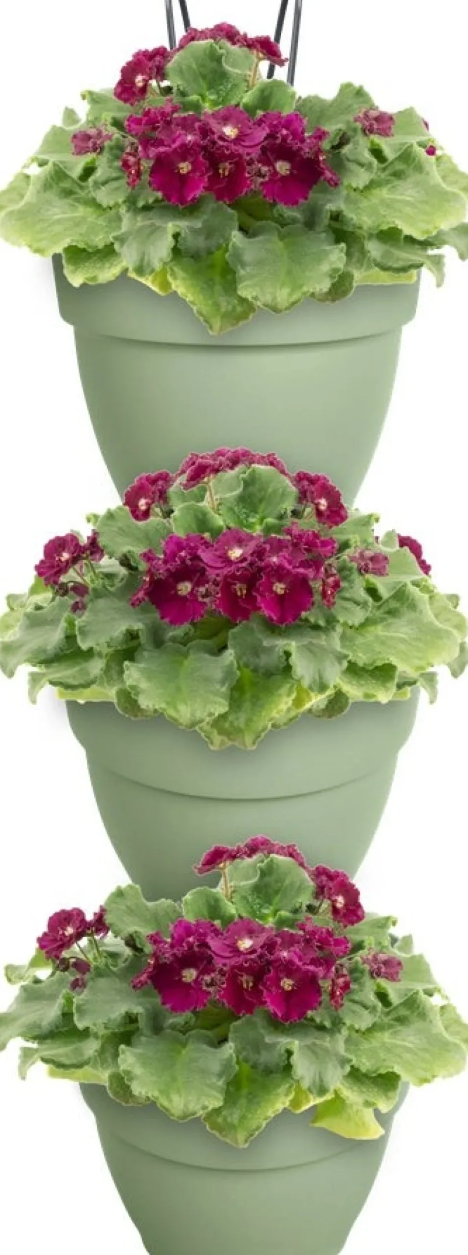 Elho plantenbak voor verticale tuin Vibia Campana Vertical Forest groen 20,7 x 17,1 x 29,7 cm