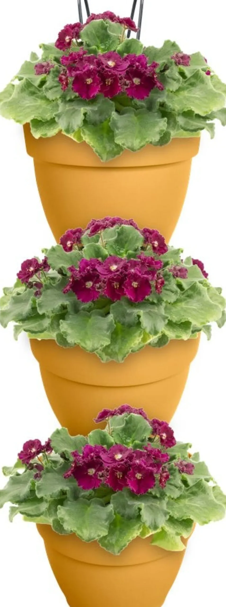 Elho plantenbak voor verticale tuin Vibia Campana Vertical Forest geel 20,7 x 17,1 x 29,7 cm