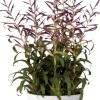 Elho plantenschaal Brussels wit D 22,9 H 10,8 cm