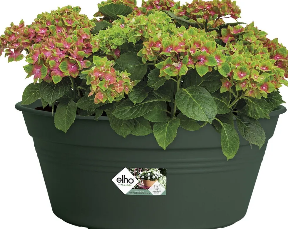 Elho plantenschaal Green Basics groen D 33 H 13,9 cm