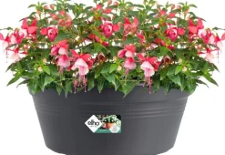 Elho plantenschaal Green Basics zwart D 38 H 15,9 cm