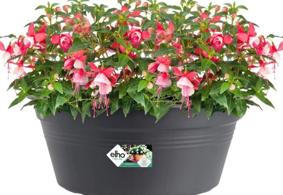 Elho plantenschaal Green Basics zwart D 38 H 15,9 cm