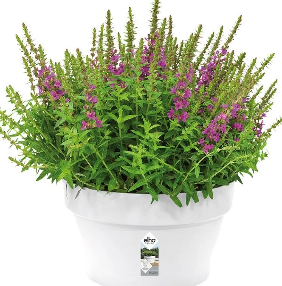 Elho plantenschaal Loft Urban wit D 34,5 H 20,2 cm