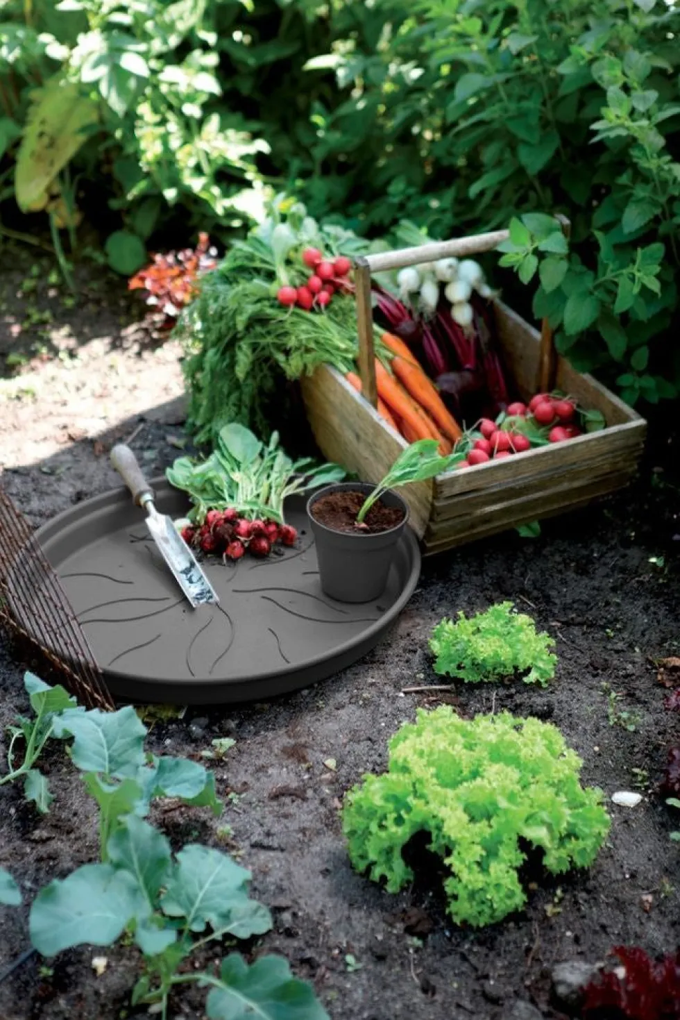 Elho plantenschotel Green Basics zwart D 13,5 H 1,9 cm