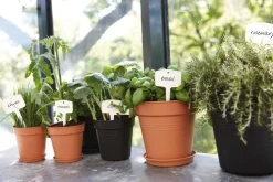 Elho plantenschotel Green Basics zwart D 25,3 H 3,6 cm
