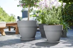 Elho plantenschotel Loft Urban lichtgrijs D 13,9 H 1,8 cm