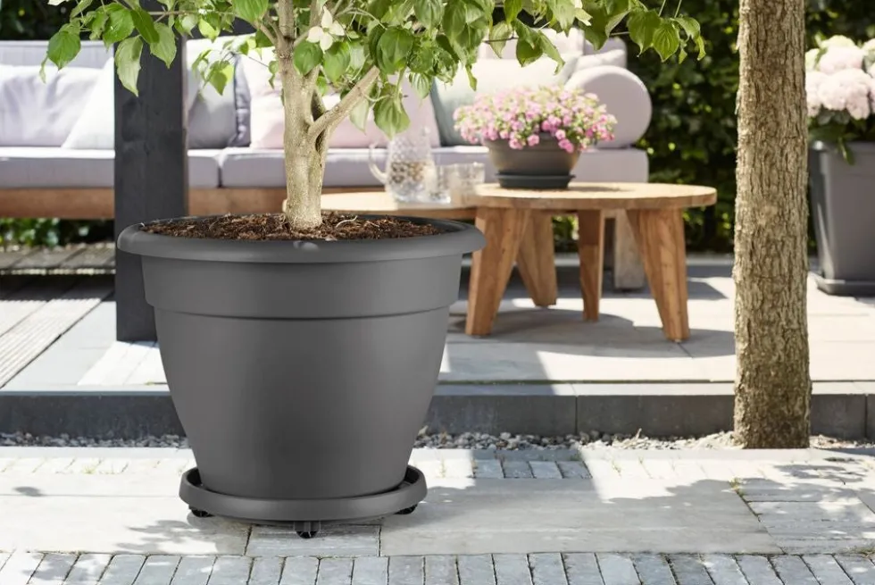 Elho plantentrolley Universeel antraciet D 33,7 H 6,5 cm