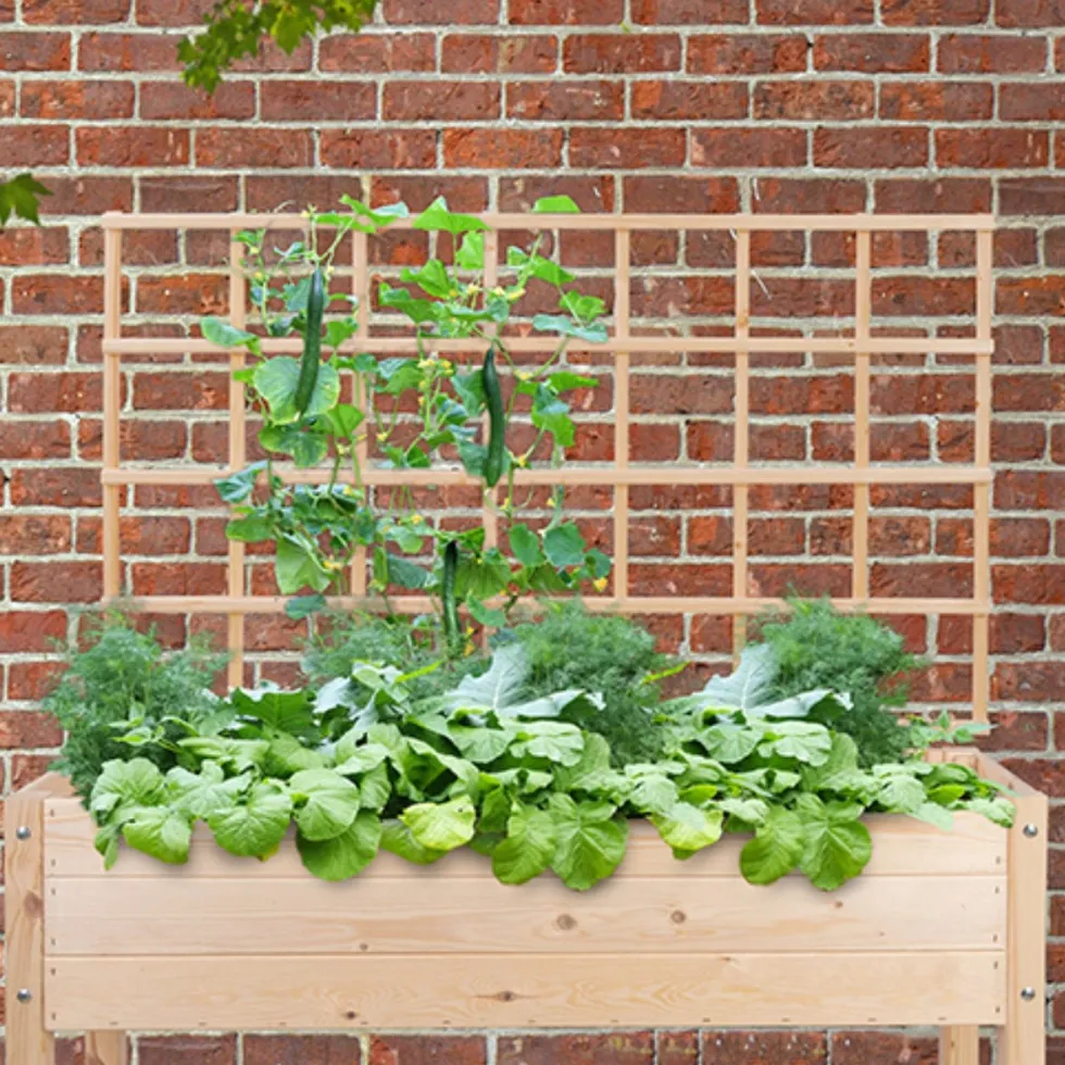 Esschert Design trellis voor kweekbak Lex naturel 3,8 x 118,2 x 84,9 cm