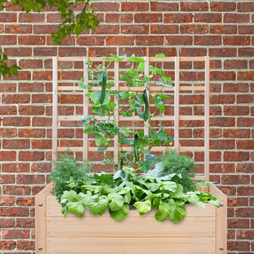 Esschert Design trellis voor kweekbak Lex naturel 3,8 x 78,2 x 84,9 cm