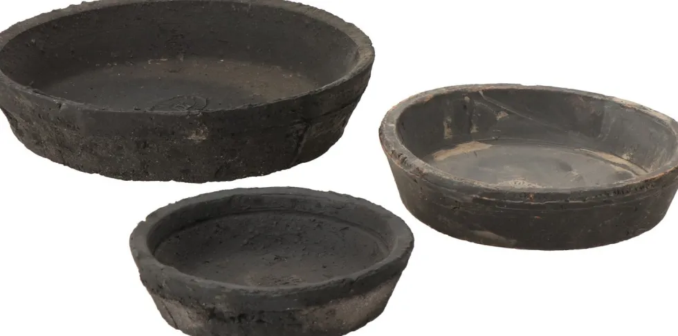 Esschert's Garden plantenschotel Aged grijs D 16,3 H 2,7 cm