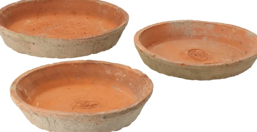 Esschert's Garden plantenschotel Aged terracotta D 21 H 4 cm