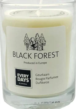 Everydays by Intratuin geurkaars Black Forest wit 43 uur D 7,9 H 9,5 cm