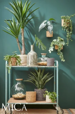 Everydays by Intratuin plantenmand Atlantic naturel D 14 H 14 cm
