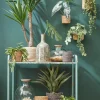 Everydays by Intratuin plantenmand Atlantic naturel D 20 H 20 cm