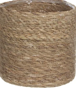 Everydays by Intratuin plantenmand Atlantic naturel D 16 H 16 cm