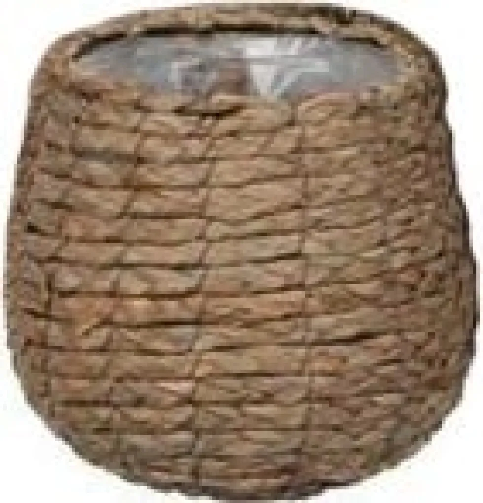 Everydays by Intratuin plantenmand Avalon naturel D 30 H 31 cm