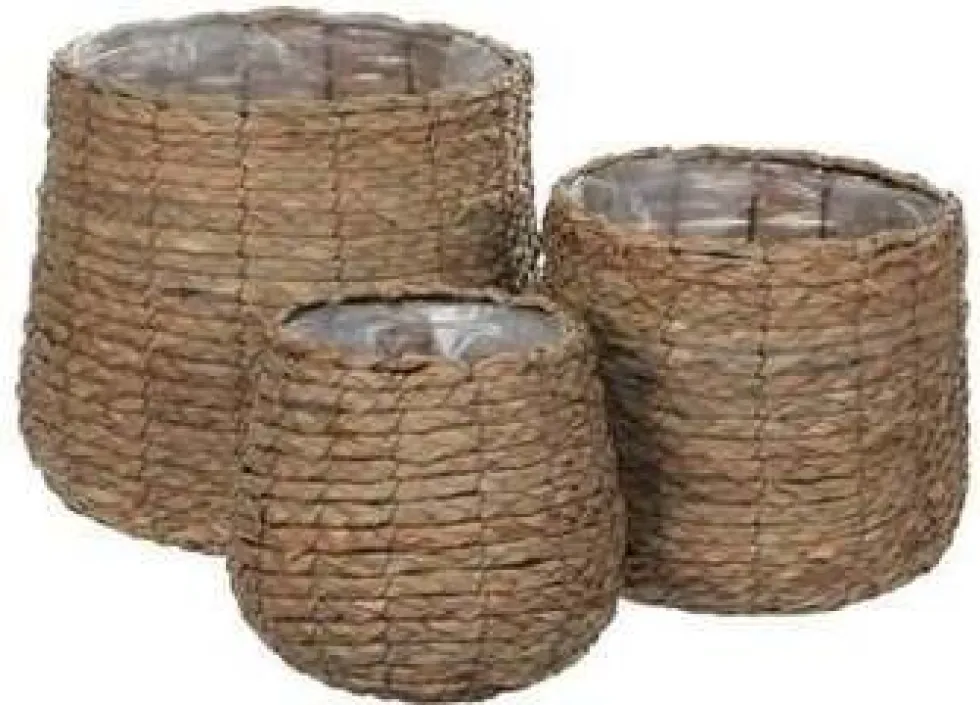 Everydays by Intratuin plantenmand Avalon naturel D 30 H 31 cm